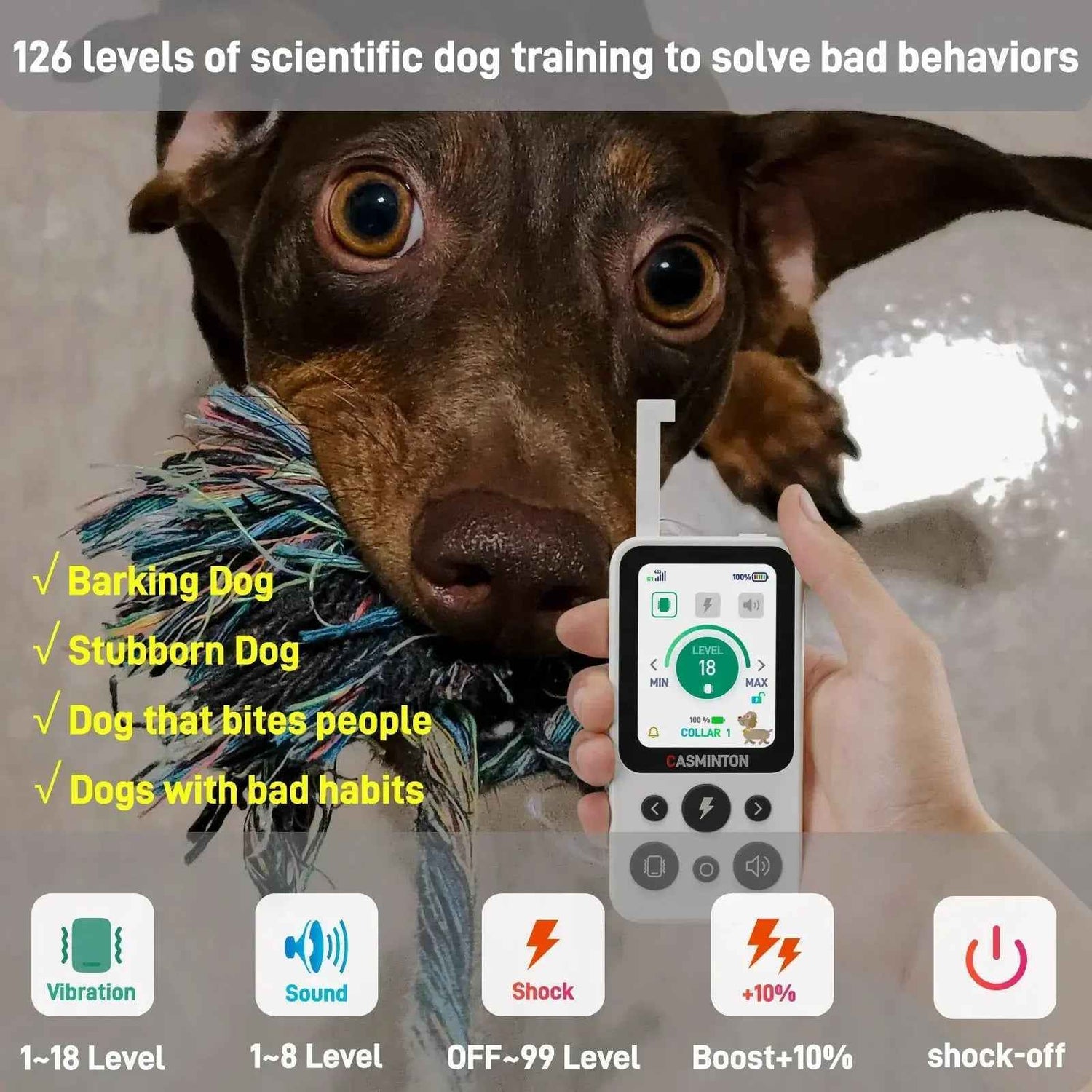CASMINTON CRS01 Pro Dog Training Collar with LCD Display for Effective Training