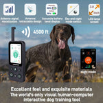 CASMINTON Waterproof Dog Training Collar with Remote Control for Effective Training blue