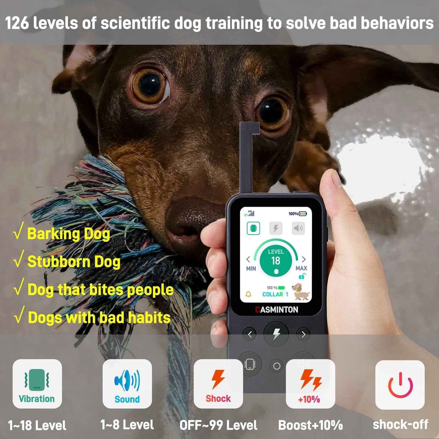 CASMINTON Waterproof Dog Training Collar with Remote Control for Effective Training blue