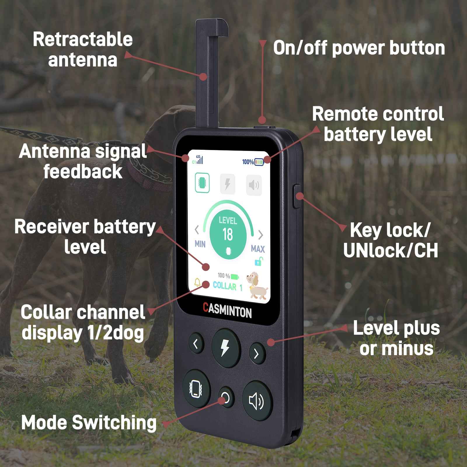 CASMINTON Waterproof Dog Training Collar with Remote Control for Effective Training blue