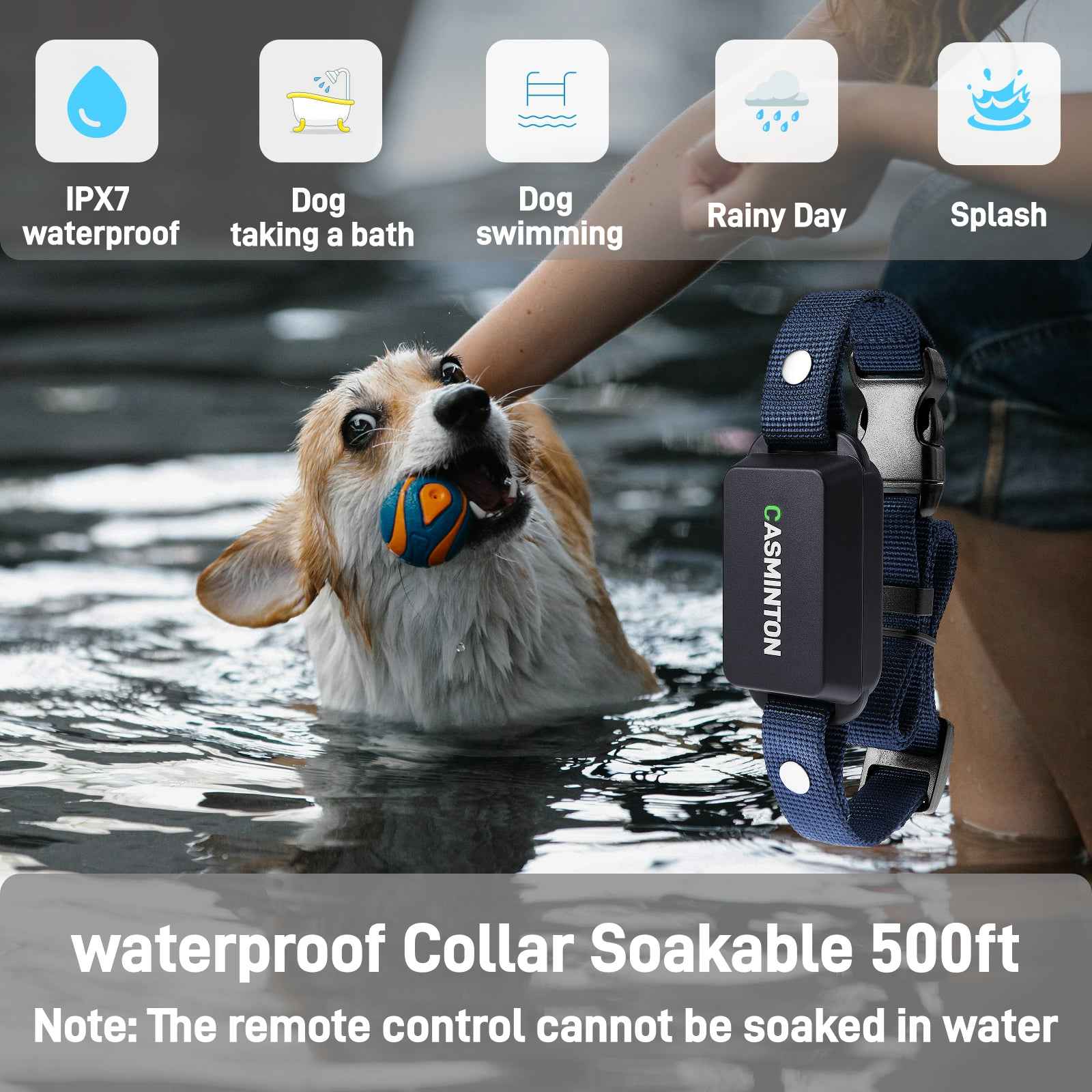 CASMINTON Waterproof Dog Training Collar with Remote Control for Effective Training blue