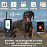 CASMINTON CRS01 Pro Dog Training Collar with LCD Display for Effective Training blue