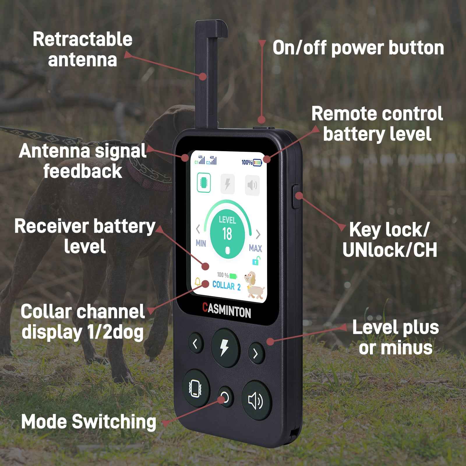 CASMINTON CRS01 Pro Dog Training Collar with LCD Display for Effective Training blue