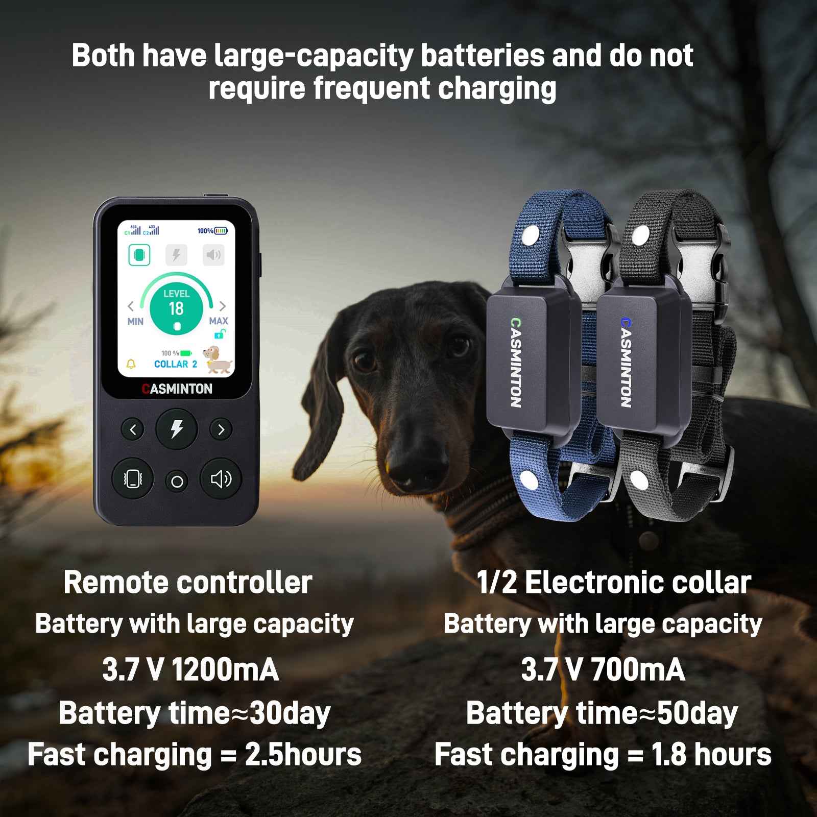 CASMINTON CRS01 Pro Dog Training Collar with LCD Display for Effective Training blue