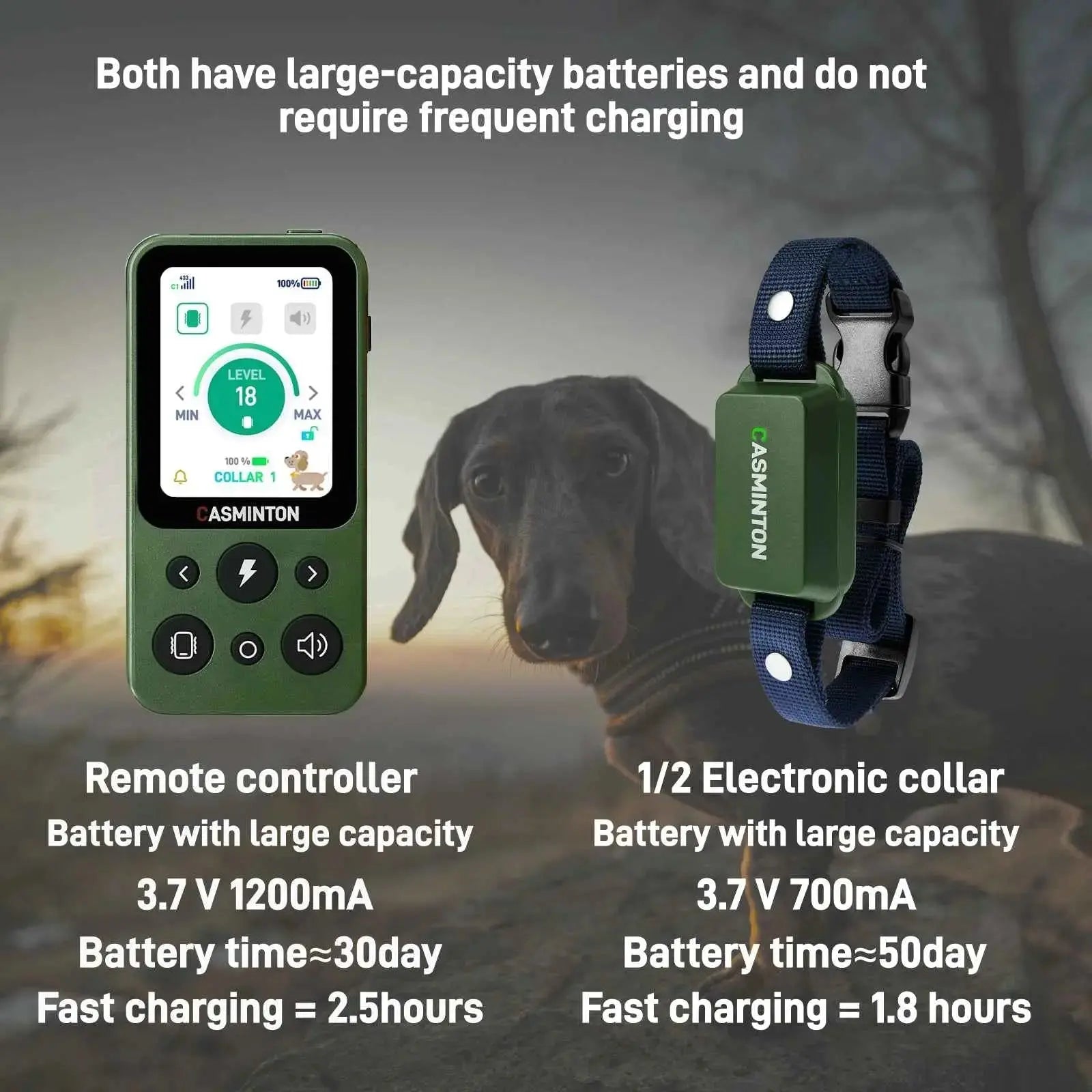 Hunter Green 1-dog remote collar with 700mA receiver battery and a dachshund in the background