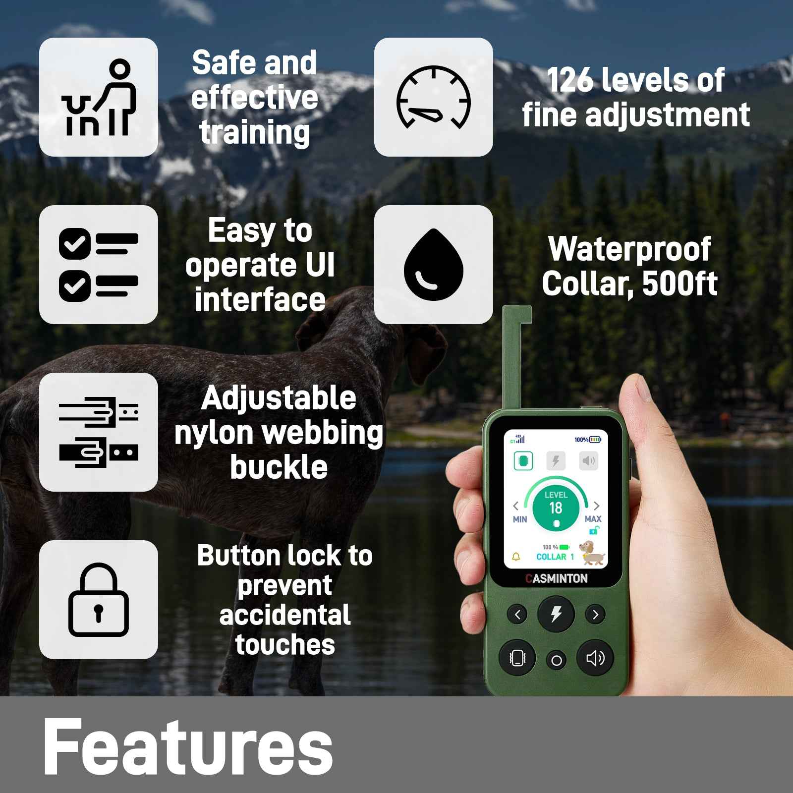 CASMINTON Waterproof Dog Training Collar with Remote Control for Effective Training green