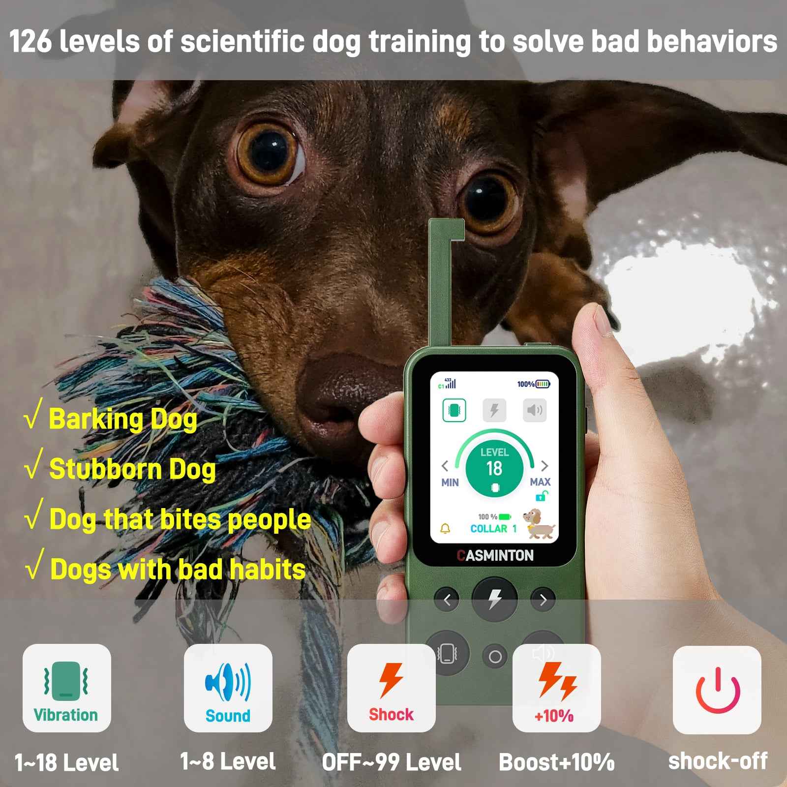 CASMINTON Waterproof Dog Training Collar with Remote Control for Effective Training green