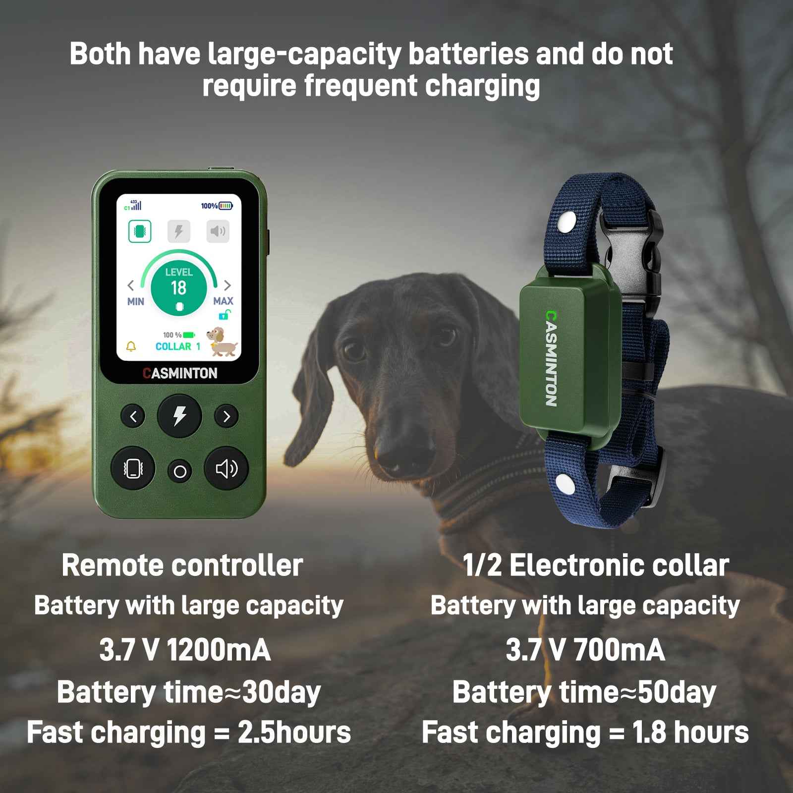 CASMINTON Waterproof Dog Training Collar with Remote Control for Effective Training green