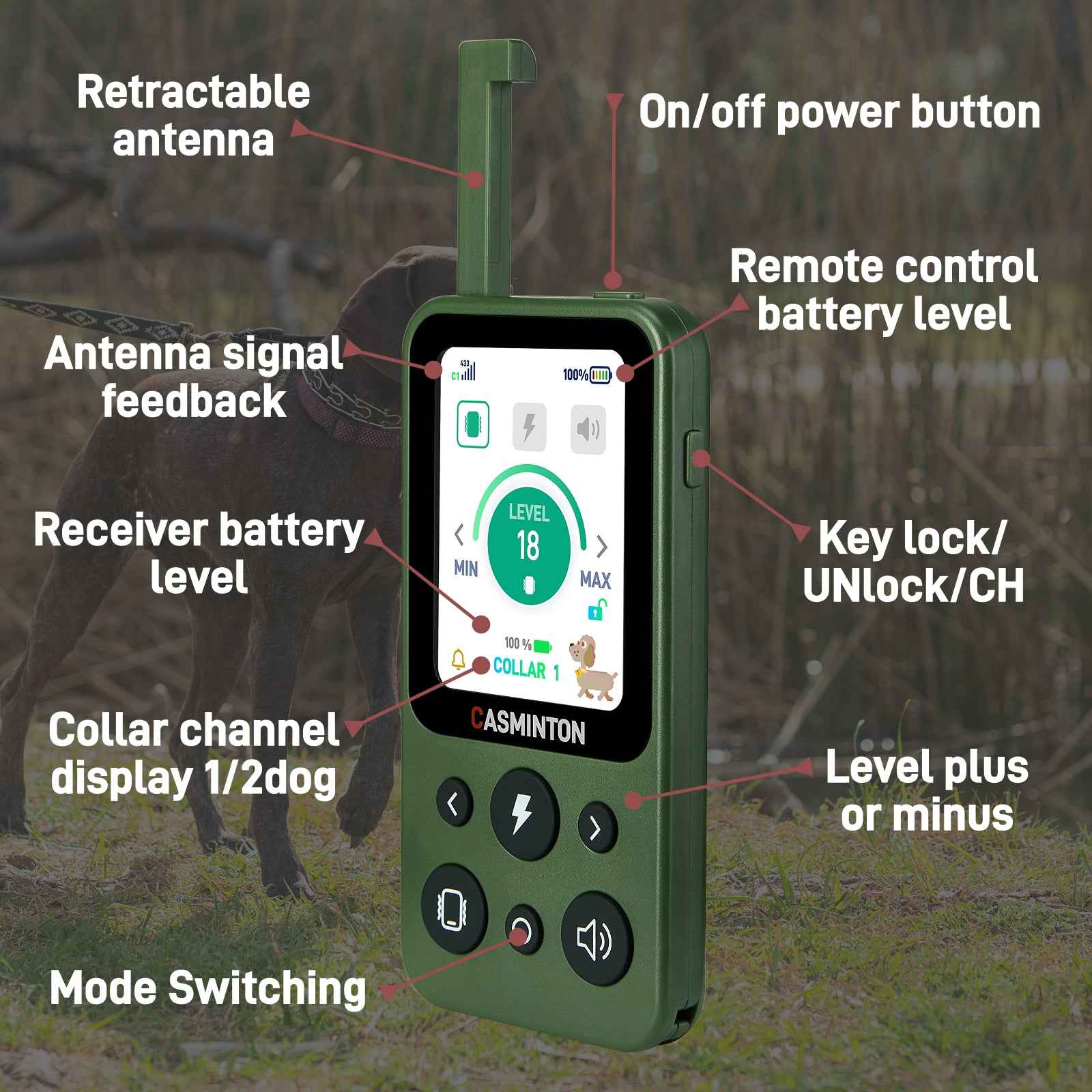 CASMINTON Waterproof Dog Training Collar with Remote Control for Effective Training green