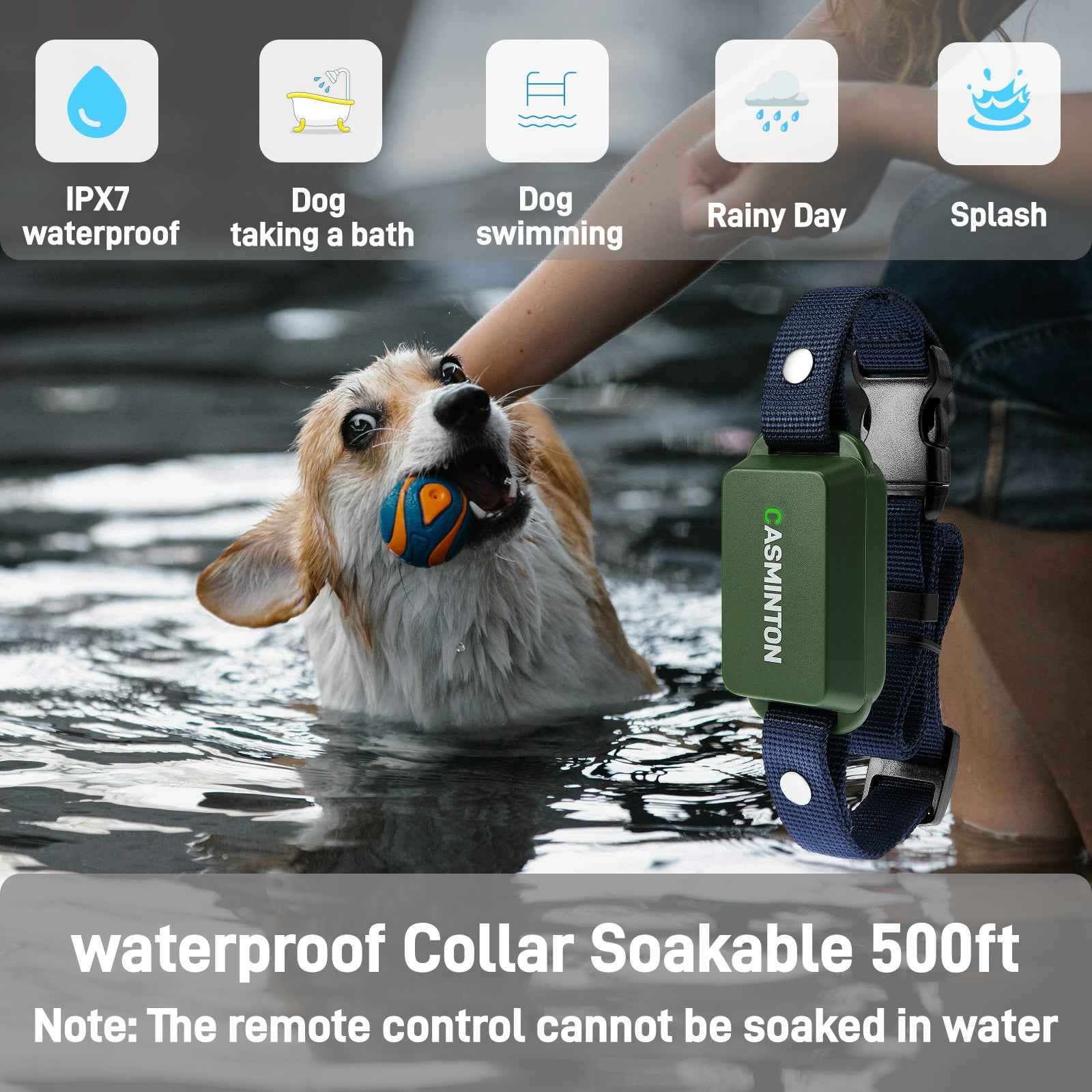 CASMINTON Waterproof Dog Training Collar with Remote Control for Effective Training green