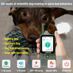 CASMINTON CRS01 Pro Dog Training Collar with LCD Display for Effective Training green