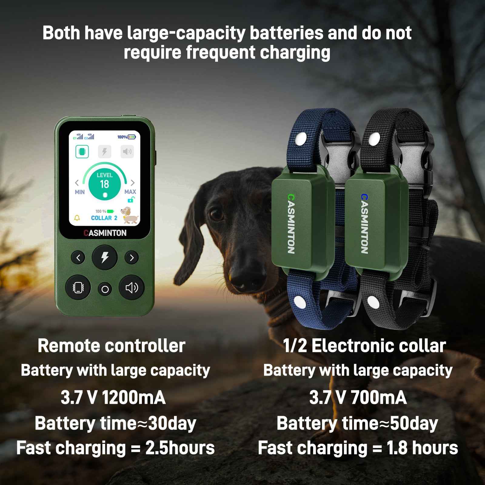 CASMINTON CRS01 Pro Dog Training Collar with LCD Display for Effective Training green