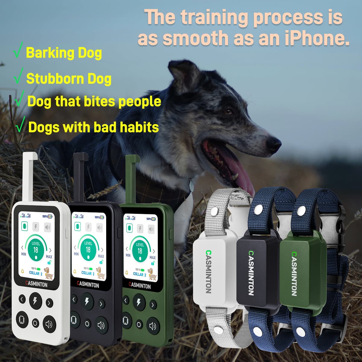 all color training collar