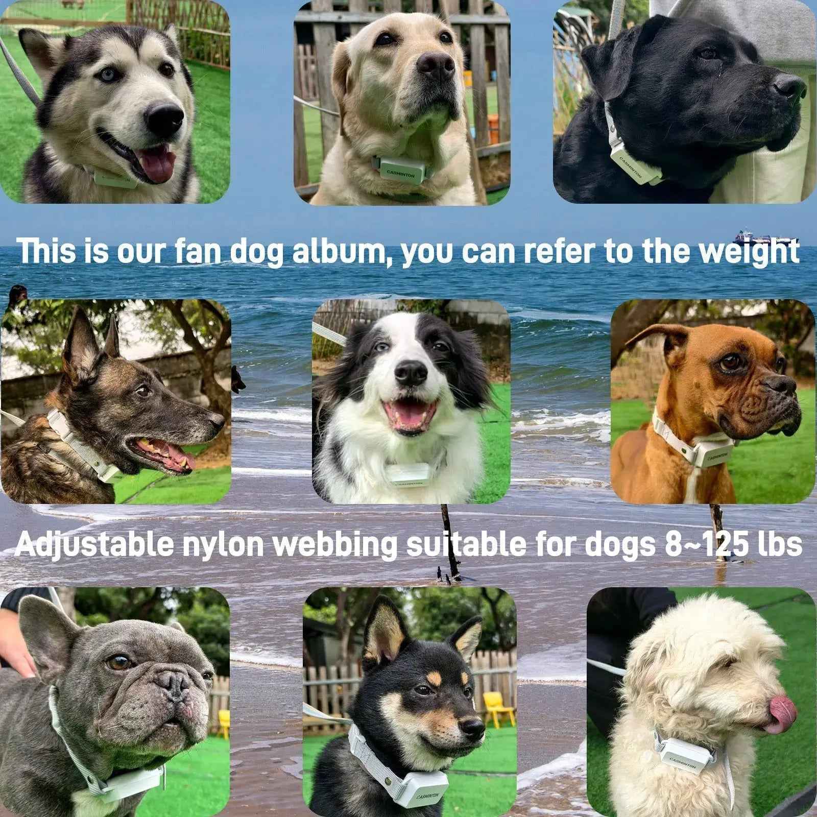 CASMINTON CRS01 Pro Dog Training Collar with LCD Display for Effective Training - CASMINTON