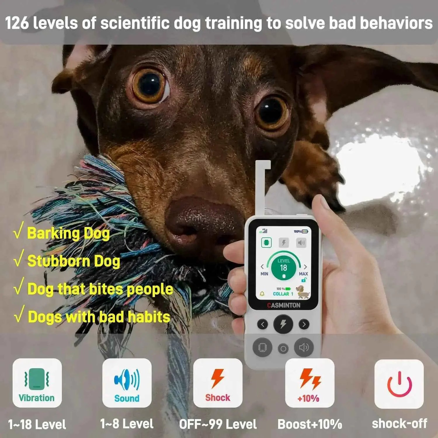 CASMINTON CRS01 Pro Dog Training Collar with LCD Display for Effective Training - CASMINTON