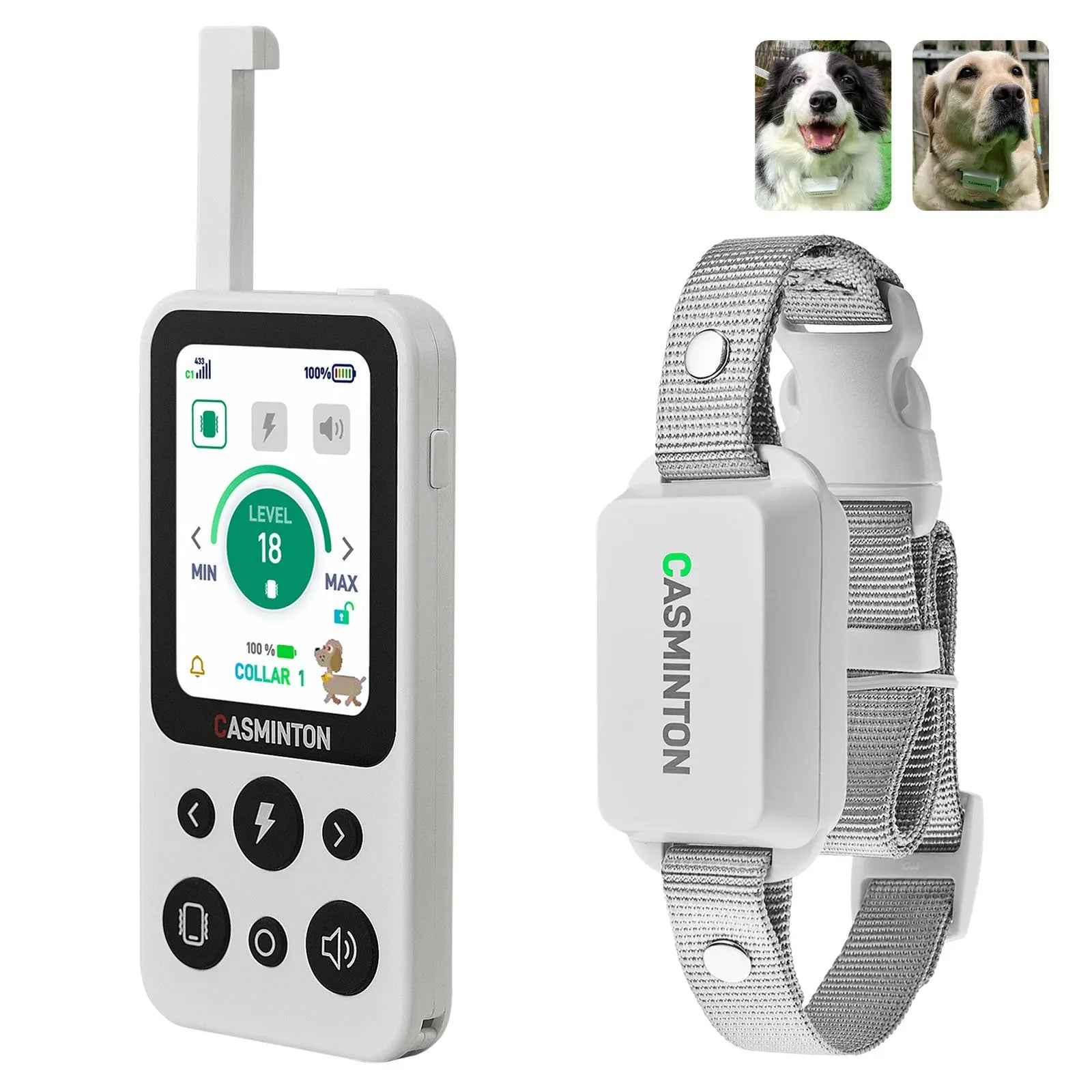 CASMINTON CRS01 Pro Arctic White 1-dog training collar and remote system on a clean background