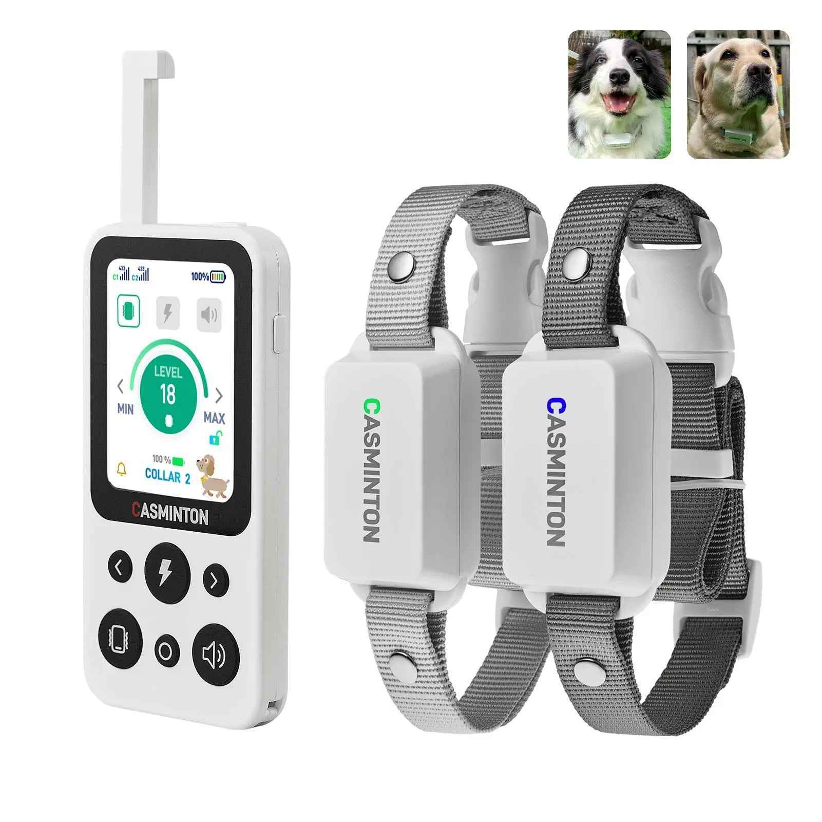 CASMINTON CRS01 Pro Arctic White 2-dog training collar system with dual receivers and one remote