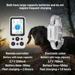 CASMINTON CRS01 Pro Dog Training Collar with LCD Display for Effective Training