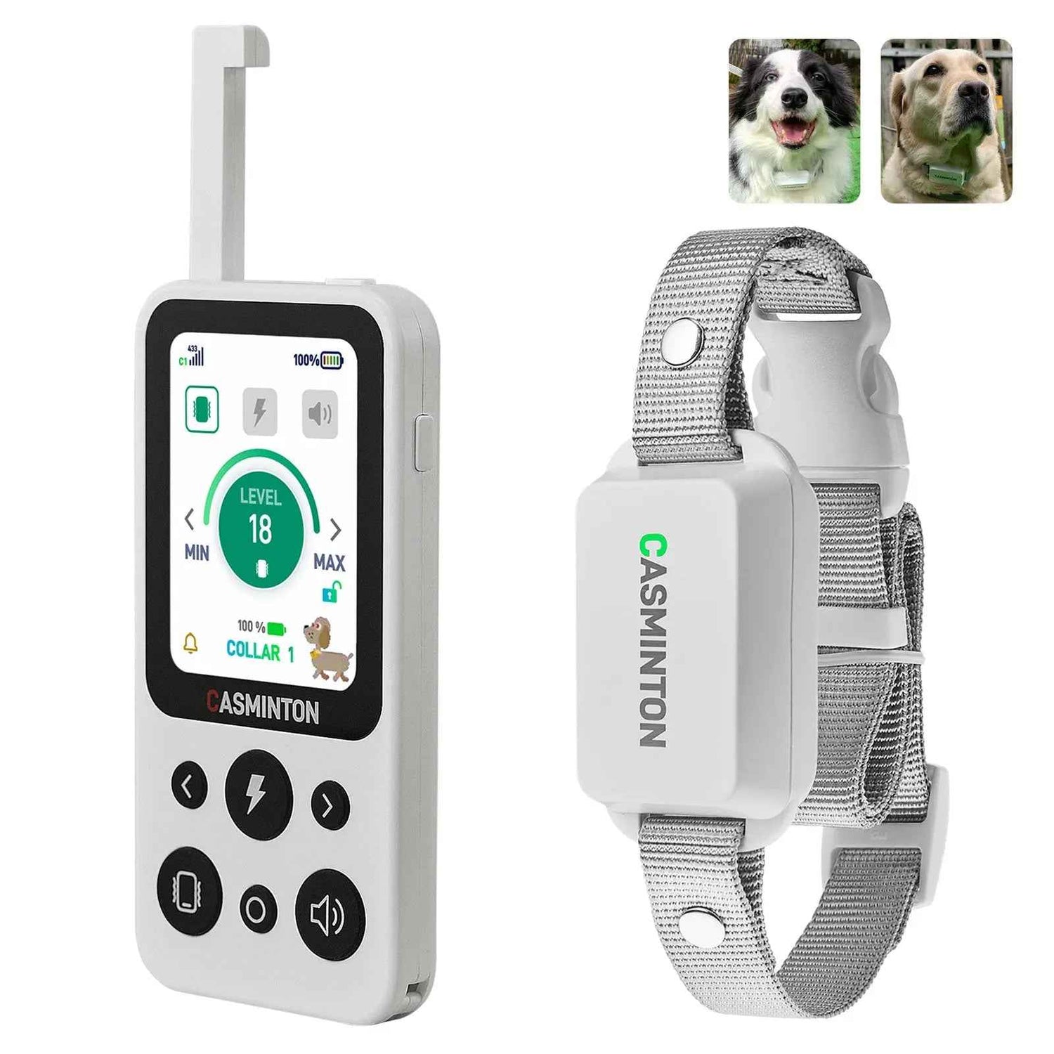 CASMINTON Waterproof Dog Training Collar with Remote Control for Effective Training - CASMINTON