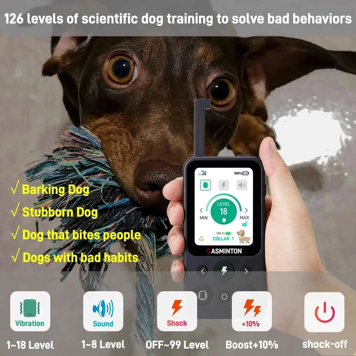 CASMINTON Waterproof Dog Training Collar with Remote Control for Effective Training blue - CASMINTON