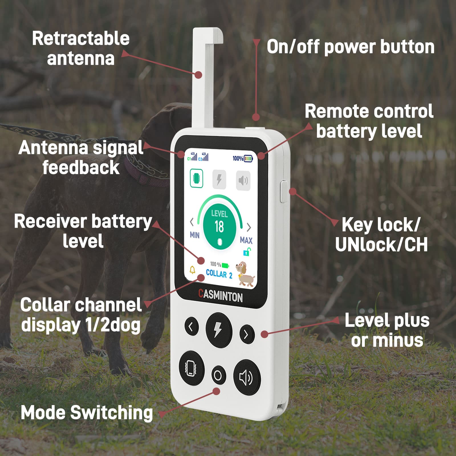 Arctic White remote controller anatomy showing collar 1 and 2 channel display for a 2-dog system