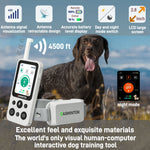 Arctic White 2-dog remote showing accurate battery level and day/night mode switch for pack management