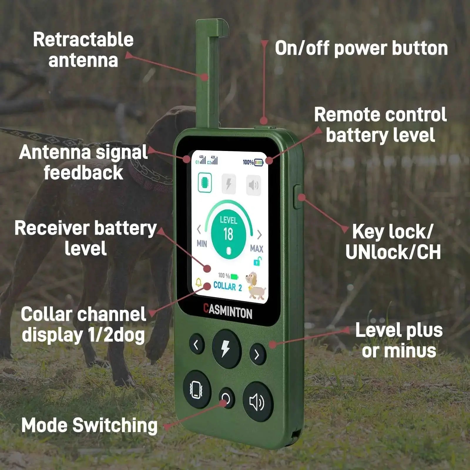 Easy to operate Hunter Green remote layout for switching seamlessly between 2 dogs