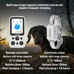 Arctic White 1-dog e-collar showing 1200mA large capacity battery and fast charging features