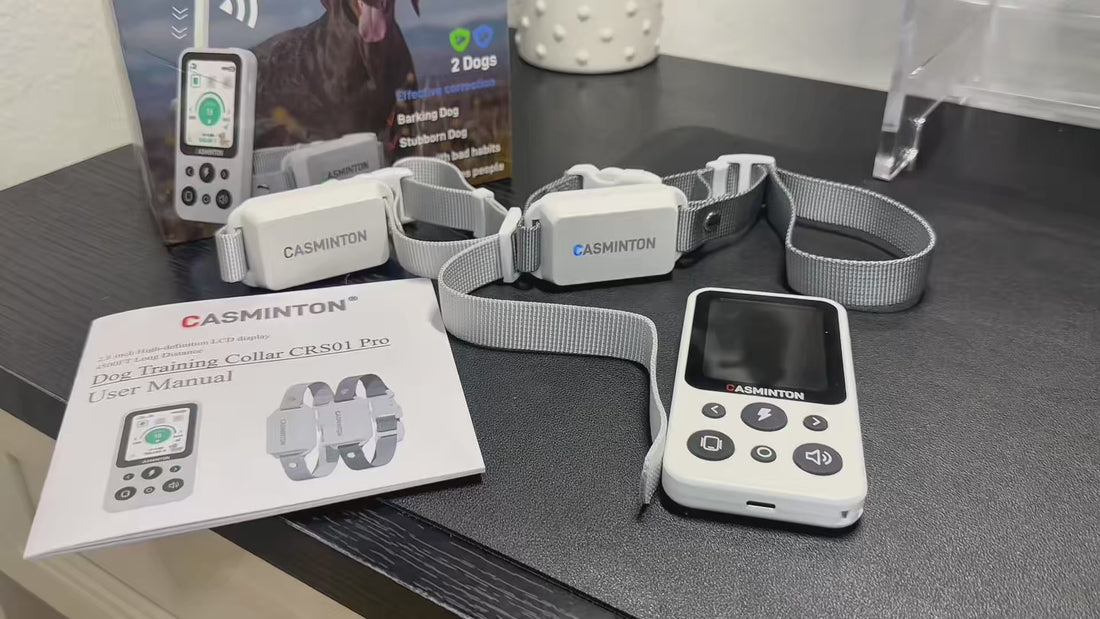 Casminton CRS01 Pro: High-Performance Alternative to Mini Educator & Invirox