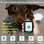 Hunter Green 1-dog remote training collar demonstrating humane correction levels for a stubborn pup