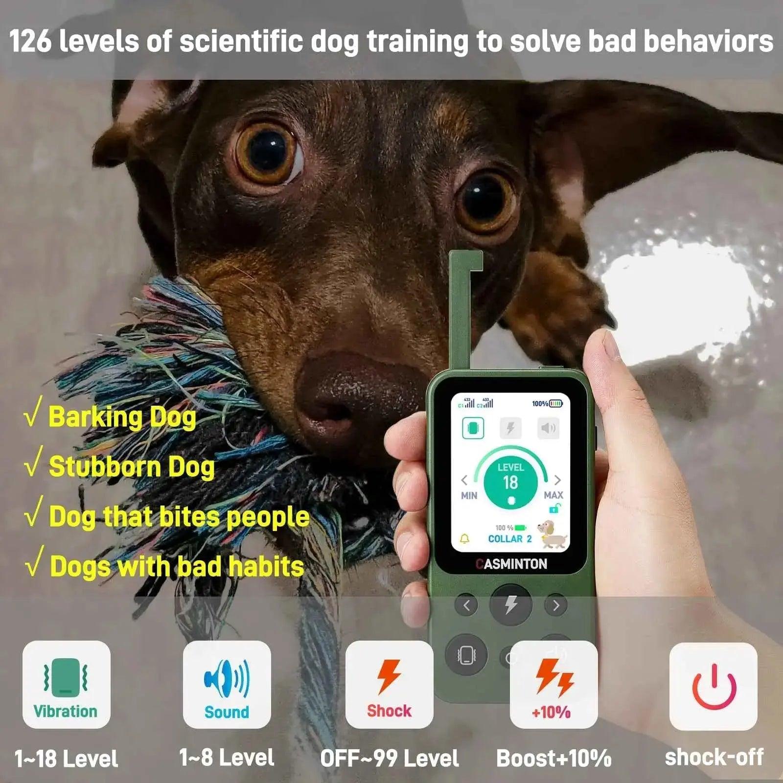 Hunter Green 1-dog remote training collar demonstrating humane correction levels for a stubborn pup